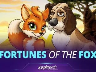 Fortunes Of The Fox (foxy Fortune) thumbnail